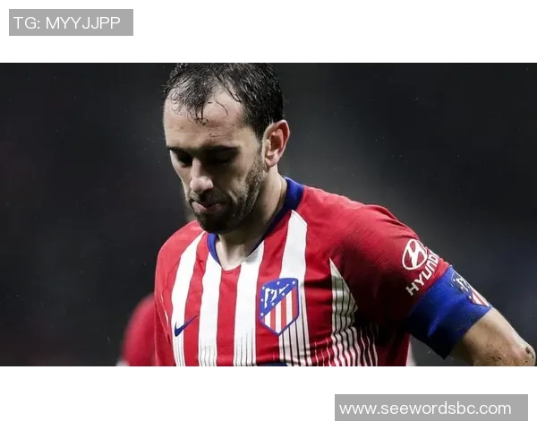 戈丁:在马德里竞技,我感到家一般的温暖与爱 戈丁:在马德里竞技,我感到家一般的温暖与爱