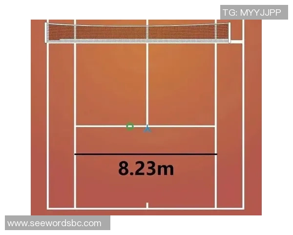 深圳网球队在比赛中的控球策略与失误分析探讨 深圳网球队在比赛中的控球策略与失误分析探讨